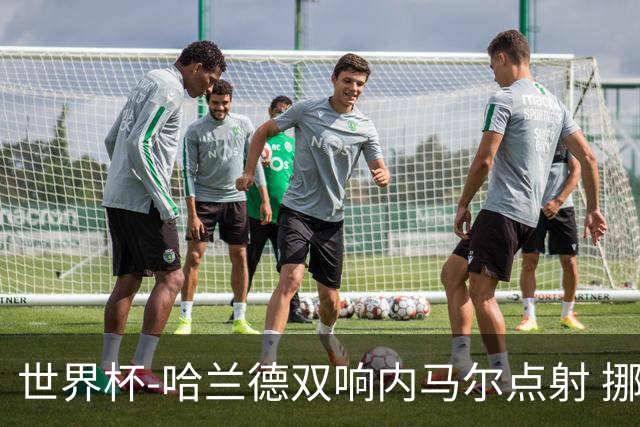 世界杯-哈兰德双响内马尔点射 挪威2-1淘汰巴西进8强